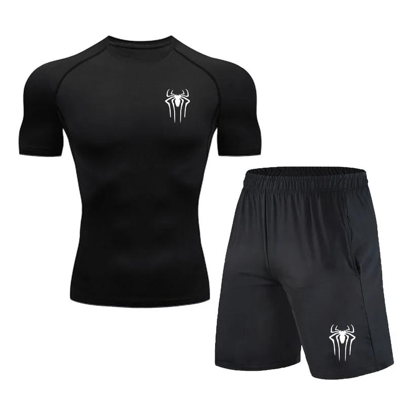    Ʈ ü ŸƮ  䰡 Ʈ,  , MMA ƮϽ Ƿ,  , 2 